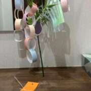 ヒメ日記 2025/07/05 08:28 投稿 りん スピードエコ梅田店