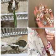 ヒメ日記 2025/07/17 23:05 投稿 りん スピードエコ梅田店