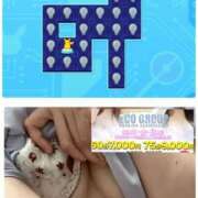 ヒメ日記 2025/11/24 22:36 投稿 りん スピードエコ梅田店