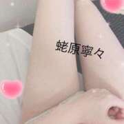 ヒメ日記 2025/03/14 19:27 投稿 蛯原寧々 お姉さんCLUB