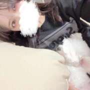 ヒメ日記 2025/01/07 19:11 投稿 にいな ビギナーズ神戸