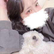 ヒメ日記 2025/04/26 00:38 投稿 にいな ビギナーズ神戸