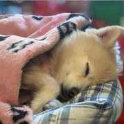 ヒメ日記 2026/02/19 09:01 投稿 久遠（クオン） アバンチュール(五反田)