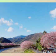 ヒメ日記 2025/02/22 14:15 投稿 しの 性腺熟女100％（デリヘル市場）