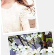 ヒメ日記 2025/04/20 14:28 投稿 しの 性腺熟女100％（デリヘル市場）