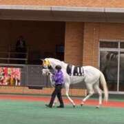ヒメ日記 2025/12/13 20:03 投稿 ハル. クラブA