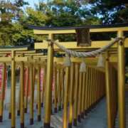 ヒメ日記 2025/08/27 18:21 投稿 ゆめの 西川口淑女館