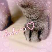 ヒメ日記 2024/12/26 00:32 投稿 りお NEO不夜城