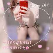 ヒメ日記 2025/04/06 19:22 投稿 りお NEO不夜城