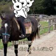 ヒメ日記 2025/09/16 12:19 投稿 りお NEO不夜城