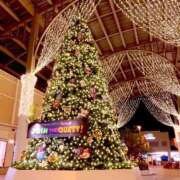 ヒメ日記 2025/11/17 21:39 投稿 りお NEO不夜城