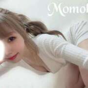 ヒメ日記 2025/04/26 18:20 投稿 ももか「ももか」 ピュアセレクラブ