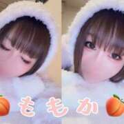 ヒメ日記 2026/01/21 17:30 投稿 ももか「ももか」 ピュアセレクラブ