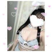 ヒメ日記 2025/04/26 14:37 投稿 まりあ スピード日本橋店