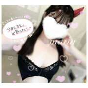 ヒメ日記 2026/01/20 12:52 投稿 まりあ スピード日本橋店