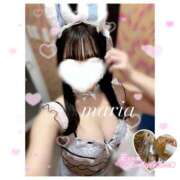 ヒメ日記 2026/02/03 13:17 投稿 まりあ スピード日本橋店