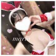 ヒメ日記 2026/03/13 12:57 投稿 まりあ スピード日本橋店