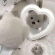 ヒメ日記 2025/10/04 20:57 投稿 ゆら 治療院.LOVE小山店