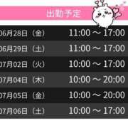 ヒメ日記 2024/06/28 12:27 投稿 ななお スピードエコ梅田店