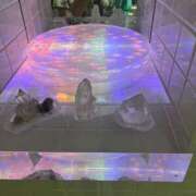 ヒメ日記 2026/08/16 21:31 投稿 星乃 りおな Men's relaxation VEGA