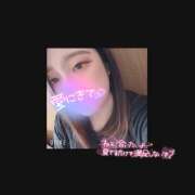 ヒメ日記 2025/02/12 15:00 投稿 とあ ラッシュアワー