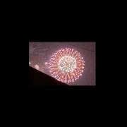 ヒメ日記 2026/08/01 20:52 投稿 とあ ラッシュアワー
