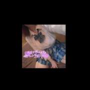ヒメ日記 2026/10/15 08:56 投稿 とあ ラッシュアワー