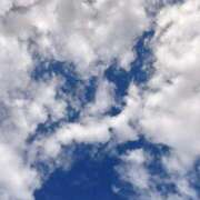 ヒメ日記 2025/10/28 15:22 投稿 いお ポニーテール和歌山店