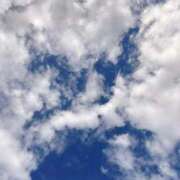 ヒメ日記 2025/10/29 16:03 投稿 いお ポニーテール和歌山店