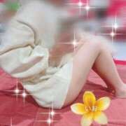 ヒメ日記 2025/11/20 11:52 投稿 いお ポニーテール和歌山店