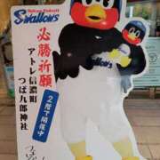 ヒメ日記 2025/04/20 09:57 投稿 きょう【大人女子】 Select(セレクト)