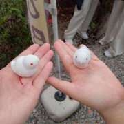 ヒメ日記 2026/01/15 10:44 投稿 きょう【大人女子】 Select(セレクト)