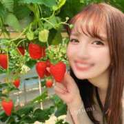 ヒメ日記 2025/02/16 21:18 投稿 くるみ セグレターリオ