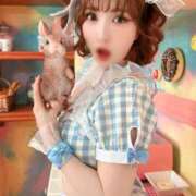 ヒメ日記 2026/01/24 19:11 投稿 くるみ セグレターリオ