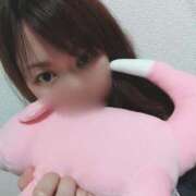 ヒメ日記 2025/04/12 01:21 投稿 川口　ほのか TSUBAKI（水戸）