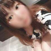 ヒメ日記 2026/01/09 16:03 投稿 川口　ほのか TSUBAKI（水戸）