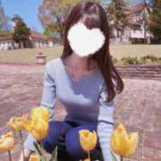 ヒメ日記 2025/05/26 06:45 投稿 まりあ INFINITY GOLD～インフィニティゴールド～