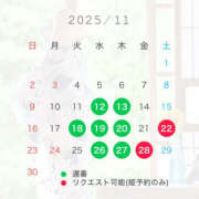 風音 11月予定&その他おしらせ🗓️ 琥珀（こはく）