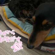 ヒメ日記 2025/04/20 12:48 投稿 みらん 池袋 大奥