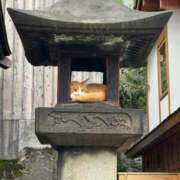 ヒメ日記 2024/12/20 08:02 投稿 杉元サリ セレブショップ新宿（東京ハレ系）