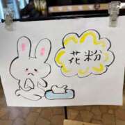 ヒメ日記 2025/03/28 08:20 投稿 杉元サリ セレブショップ新宿（東京ハレ系）