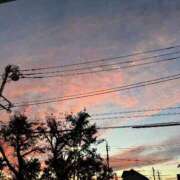 杉元サリ 洗濯日和なのに セレブショップ新宿（東京ハレ系）