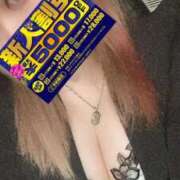 ヒメ日記 2025/11/10 12:29 投稿 ティナ秘書 秘書の品格 クラブアッシュ ヴァリエ