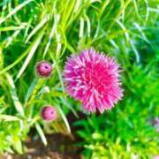 森崎 唯(ゆい) 🌷🌸 東京不倫 渋谷店