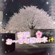 ヒメ日記 2025/04/07 22:48 投稿 りほ 町田人妻城