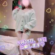 ヒメ日記 2025/04/14 08:06 投稿 りほ 町田人妻城