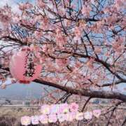 ヒメ日記 2026/02/24 08:18 投稿 りほ 町田人妻城