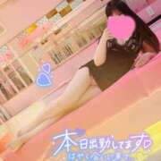 ヒメ日記 2025/04/29 17:27 投稿 せいら マリン宮殿水戸店