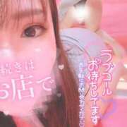 ヒメ日記 2025/05/28 00:14 投稿 せいら マリン宮殿水戸店