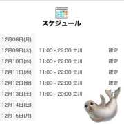 ヒメ日記 2025/12/08 18:01 投稿 にいな 世界のあんぷり亭 立川店